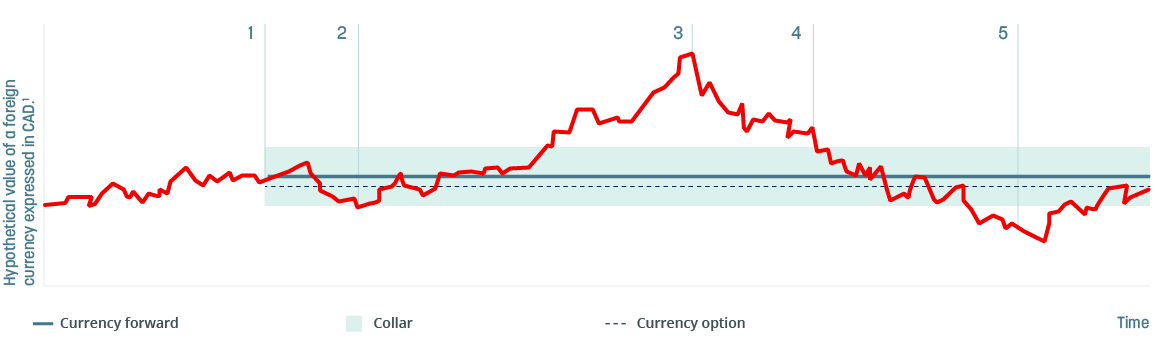 BNC_Chart_EN