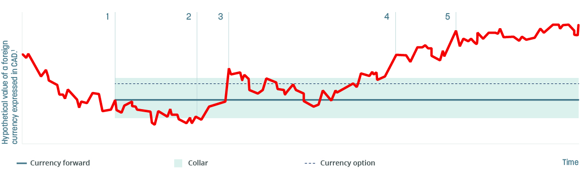 BNC_Chart_EN