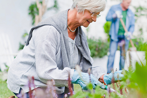 Photo of a woman gardening