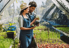 Two gardeners having a conversation in a greenhouse