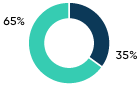 Asset allocation chart – NBI Equity Portfolio