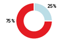 The NBI Sustainable Equity Portfolio is made up of 75% global equities and 25% Canadian equities.